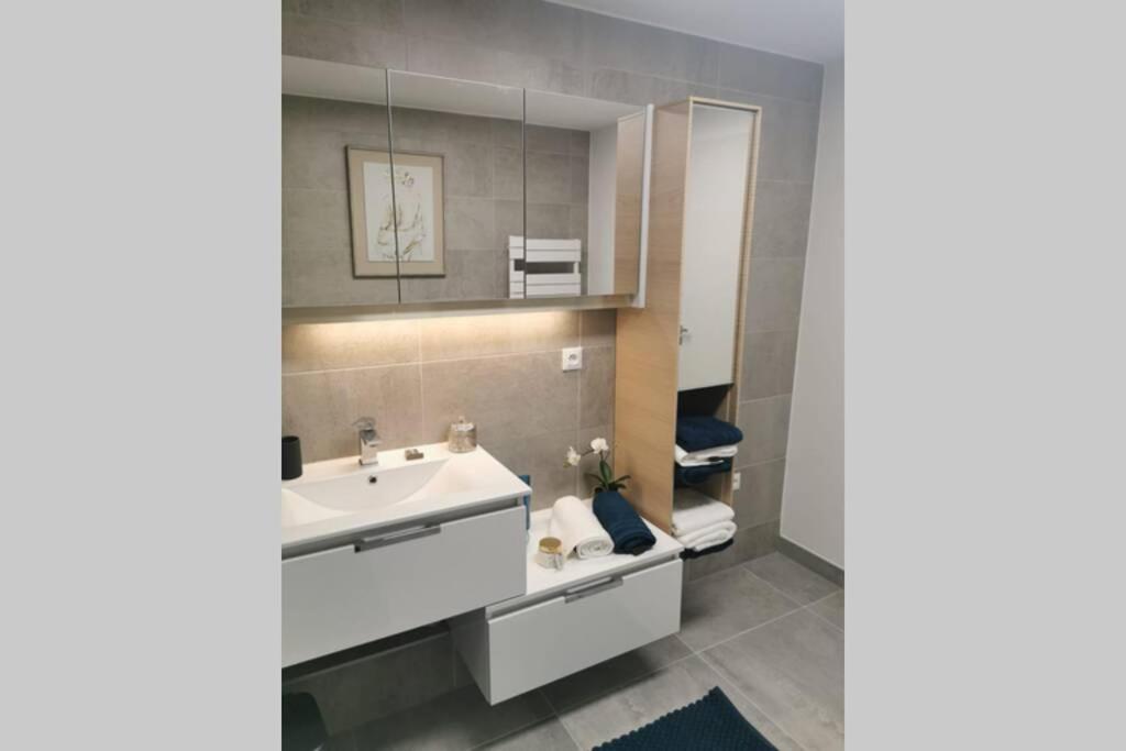 Ferienwohnung Magnifique F3, 75M² Avec Parking Prive Et Terrasse Straßburg Exterior foto