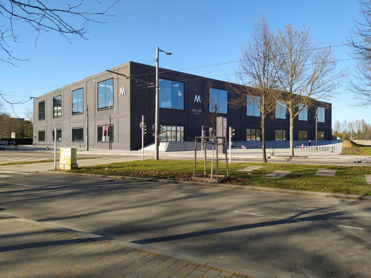 Ferienwohnung Magnifique F3, 75M² Avec Parking Prive Et Terrasse Straßburg Exterior foto